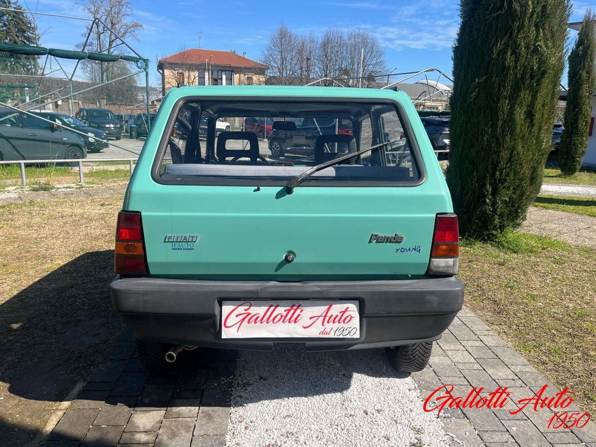 Fiat Panda 1100 i.e. cat Young (5)