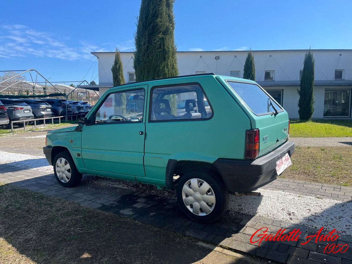 Fiat Panda 1100 i.e. cat Young (6)