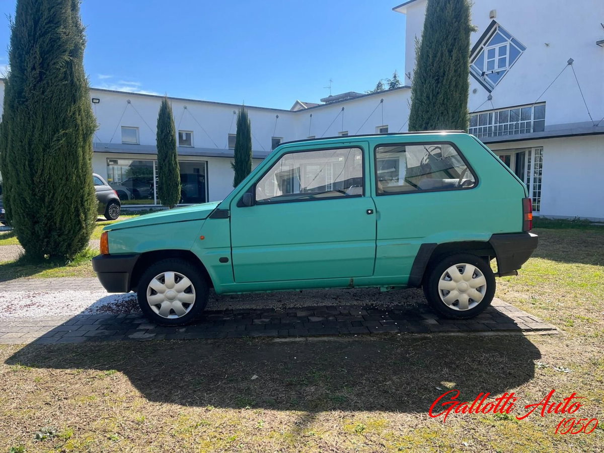 Fiat Panda 1100 i.e. cat Young (7)