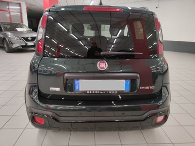 Fiat Panda Cross Cross 1.0 FireFly S&S Hybrid (5)