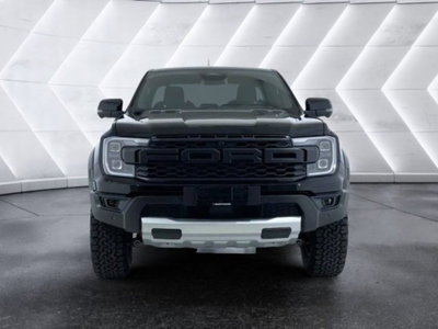 Ford Ranger Pick-up Raptor 2.0 ecoblue 210cv auto (2)