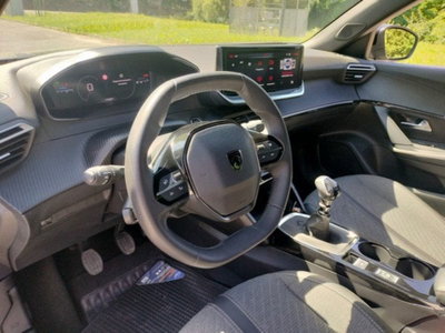 Peugeot 2008 1.2 turbo Allure 100cv (12)