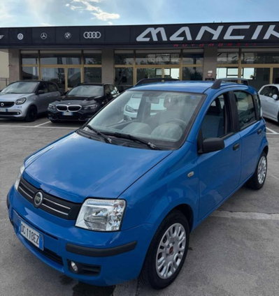 Fiat Panda 1.1 Active usata