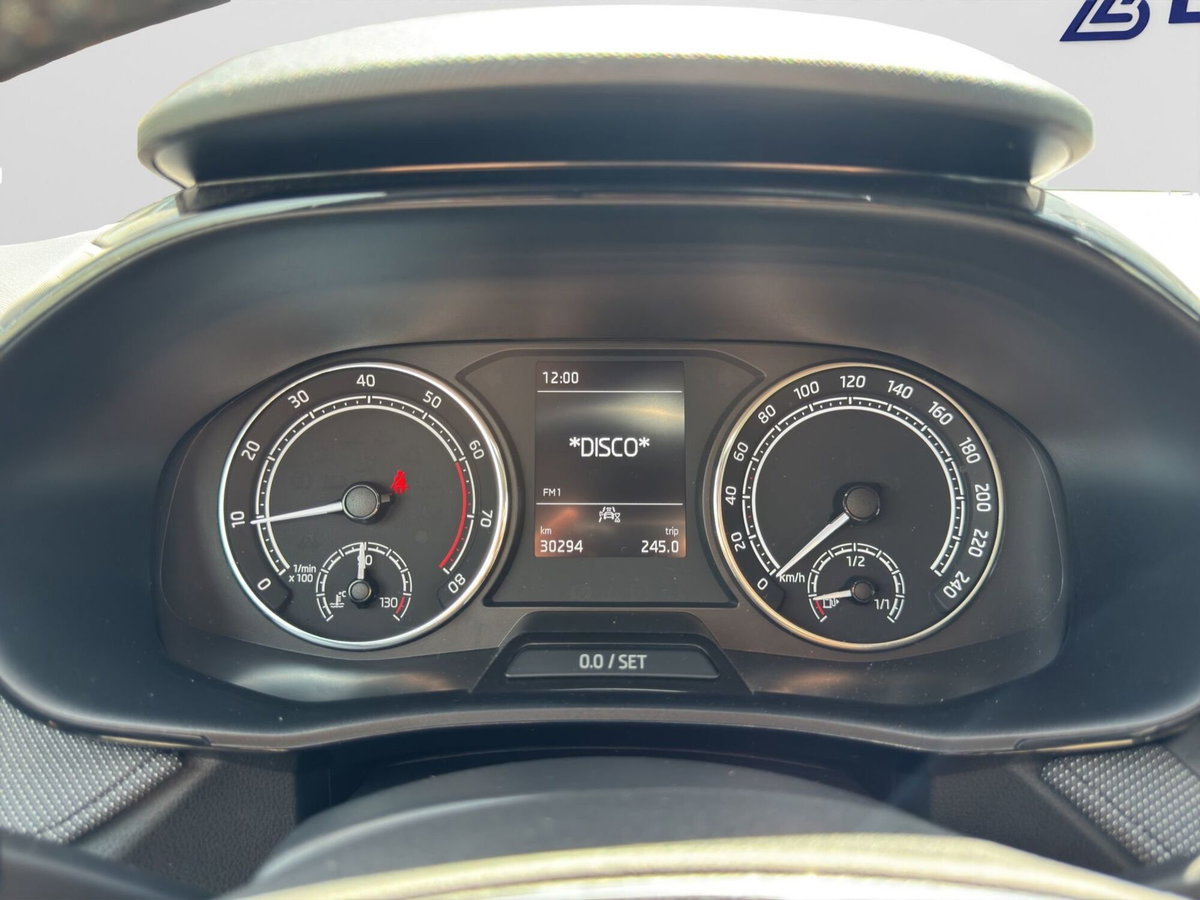 Skoda Fabia 1.0 TSI EVO 95 CV Ambition (12)