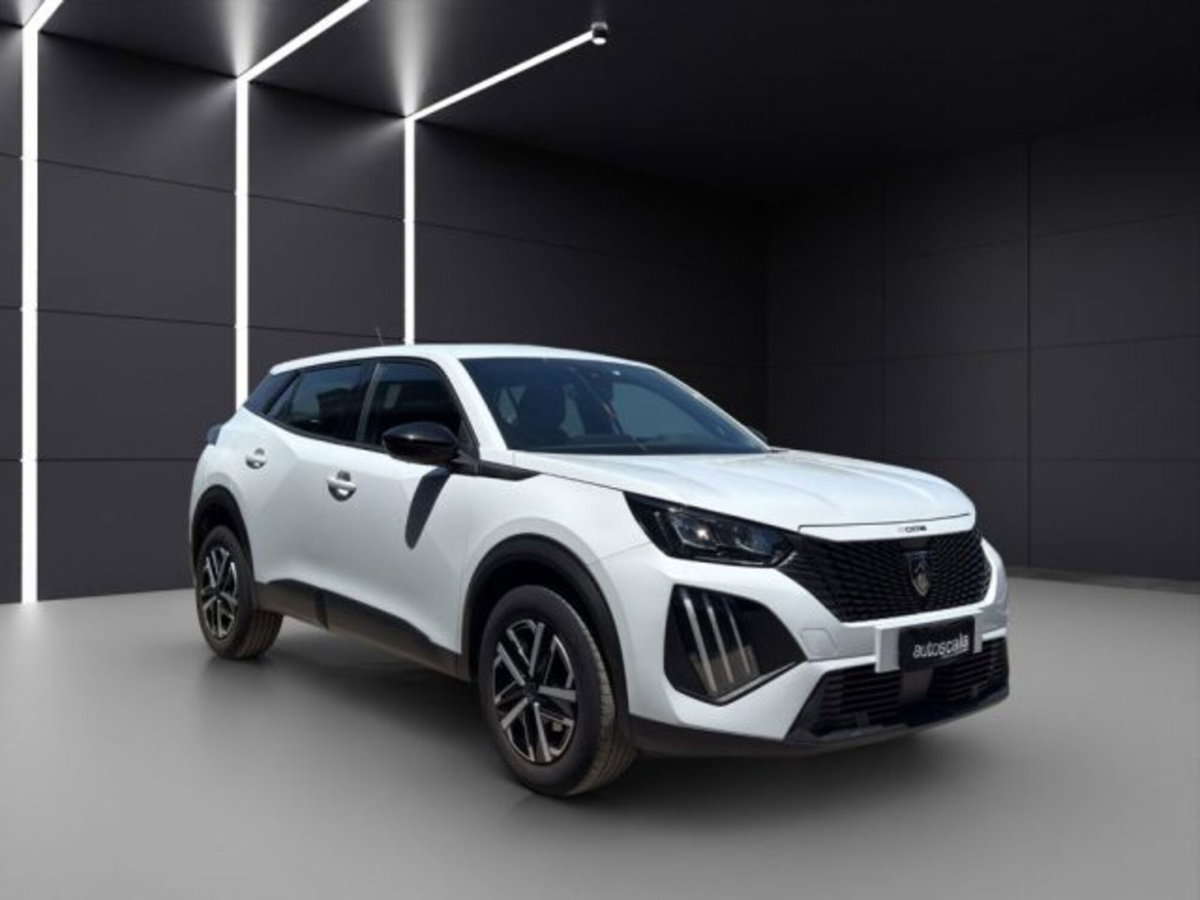 Peugeot 2008 PureTech 100 S&S Active (7)