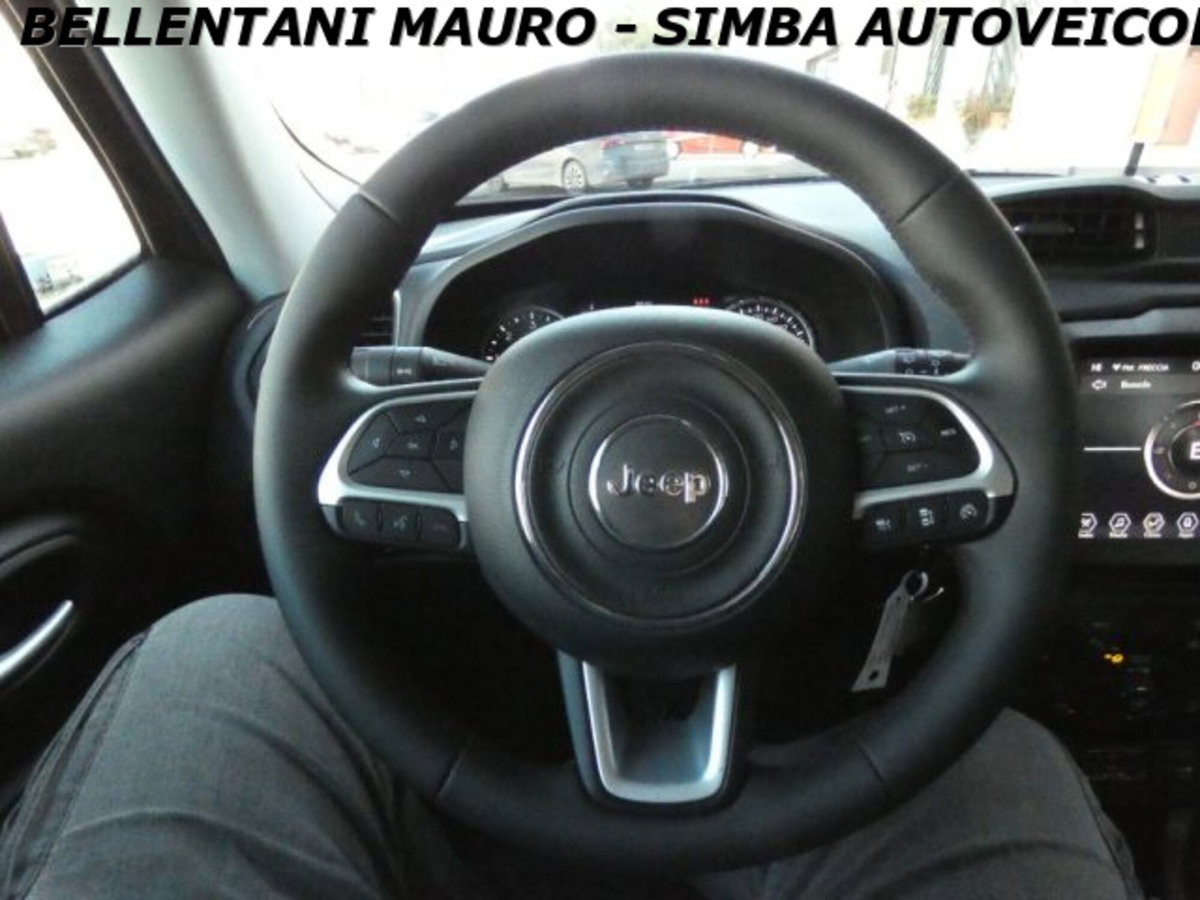 Jeep Renegade 1.6 Mjt 130 CV Limited (13)