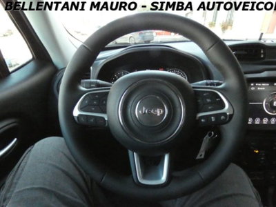Jeep Renegade 1.6 Mjt 130 CV Limited (13)