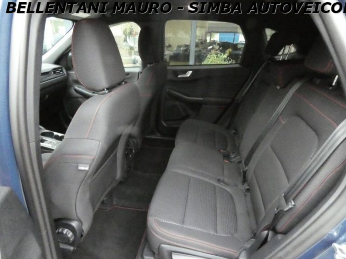 Ford Kuga 2.0 EcoBlue 120 CV aut. 2WD ST-Line X (10)