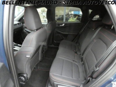 Ford Kuga 2.0 EcoBlue 120 CV aut. 2WD ST-Line X (10)
