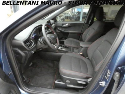 Ford Kuga 2.0 EcoBlue 120 CV aut. 2WD ST-Line X (11)