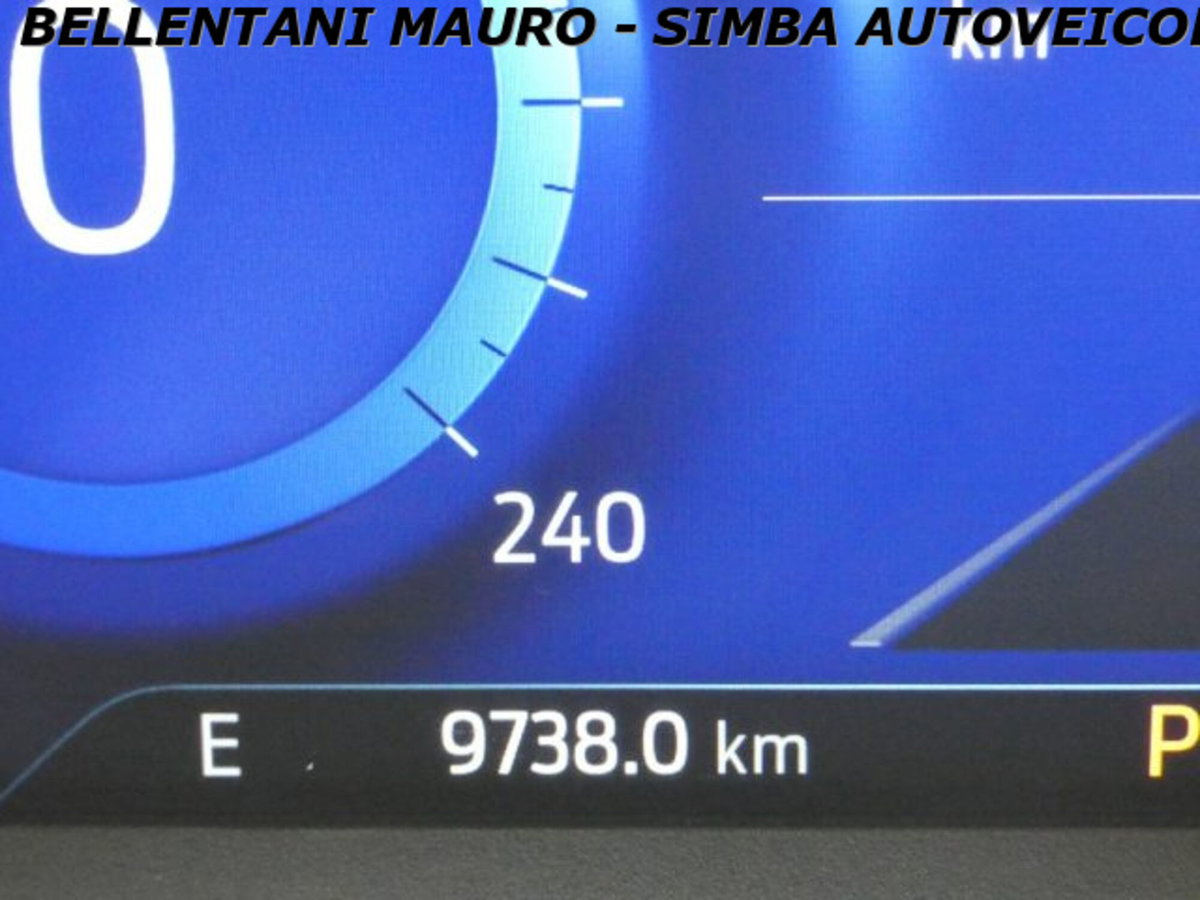 Ford Kuga 2.0 EcoBlue 120 CV aut. 2WD ST-Line X (17)