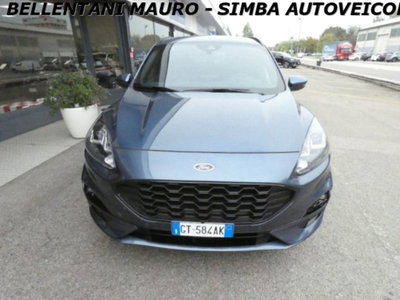 Ford Kuga 2.0 EcoBlue 120 CV aut. 2WD ST-Line X (2)