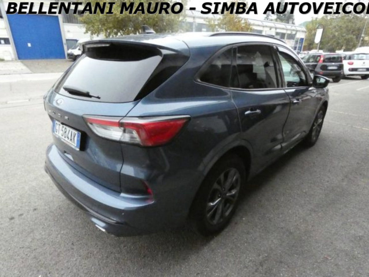 Ford Kuga 2.0 EcoBlue 120 CV aut. 2WD ST-Line X (7)