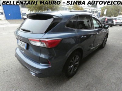 Ford Kuga 2.0 EcoBlue 120 CV aut. 2WD ST-Line X (7)