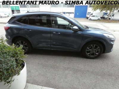 Ford Kuga 2.0 EcoBlue 120 CV aut. 2WD ST-Line X (8)