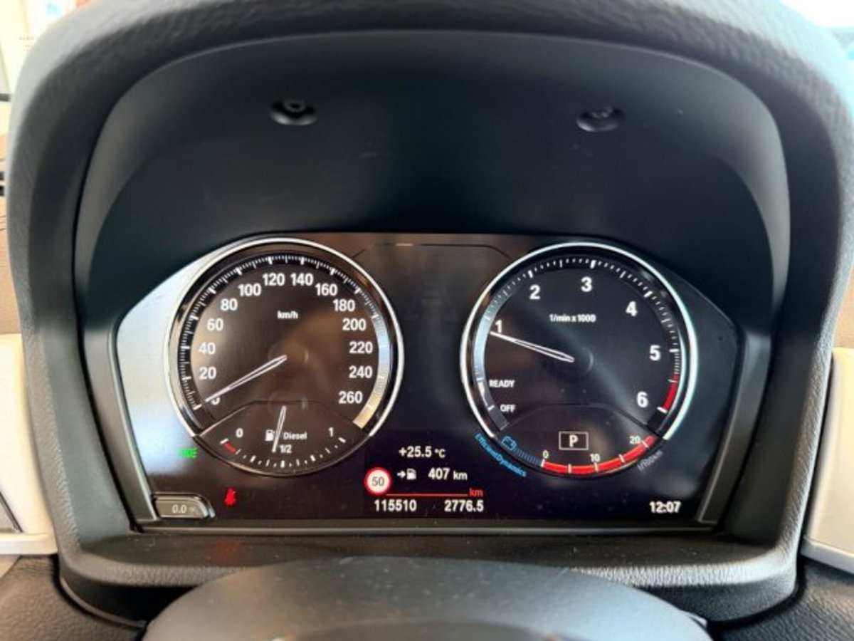 BMW X2 sDrive18d Business-X (20)