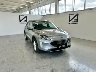 Ford Kuga 2.0 EcoBlue 150CV aut. AWD ST-Line X usata