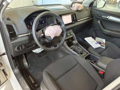 Skoda Karoq 2.0 TDI EVO SCR 115 CV DSG Executive (13)