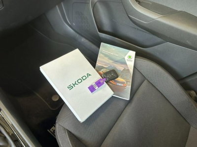 Skoda Karoq 2.0 TDI EVO SCR 115 CV DSG Executive (18)
