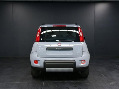 Fiat Panda 1.0 firefly hybrid s&s 70cv 5p.ti (6)