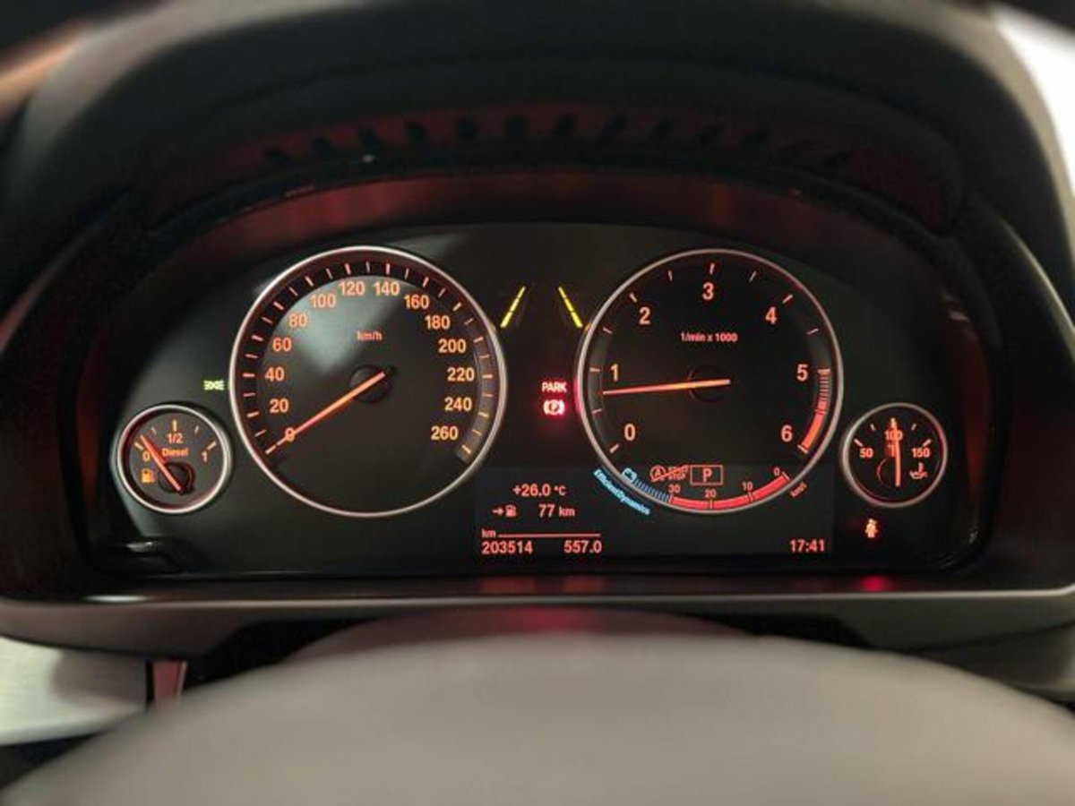 BMW X5 xDrive30d 258CV Luxury (19)