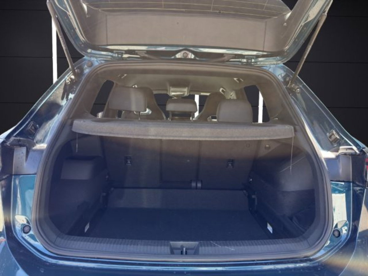 Volkswagen Tiguan 2.0 tdi R-Line 150cv dsg (20)
