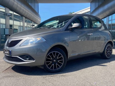 Lancia Ypsilon 1.2 69 CV 5 porte Silver usata