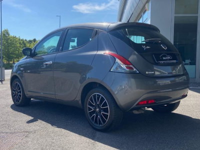 Lancia Ypsilon 1.2 69 CV 5 porte Silver (6)