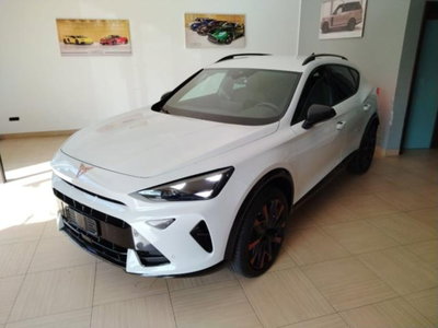 Cupra Formentor Formentor 2.0 TDI (10)