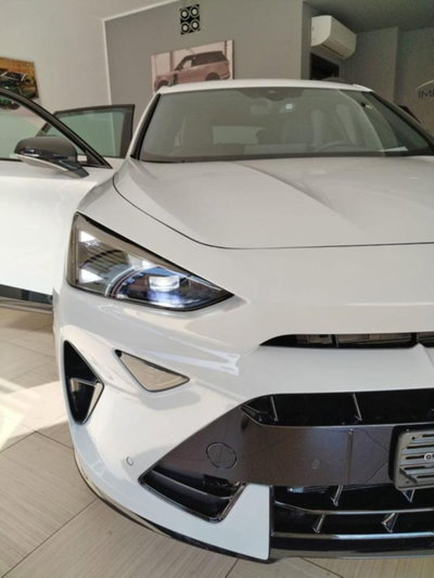 Cupra Formentor Formentor 2.0 TDI (14)