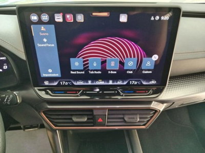 Cupra Formentor Formentor 2.0 TDI (6)