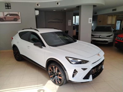 Cupra Formentor Formentor 2.0 TDI (7)