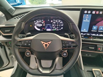 Cupra Formentor Formentor 2.0 TDI (8)