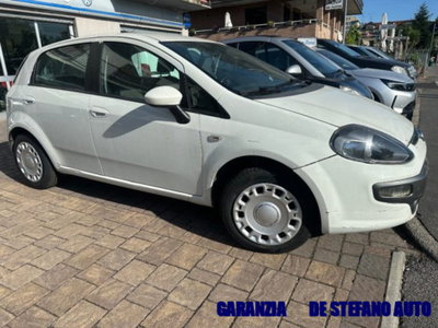 Fiat Punto Evo 1.4 5 porte Dynamic GPL (2)