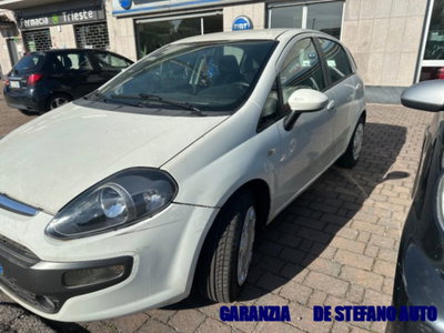 Fiat Punto Evo 1.4 5 porte Dynamic GPL (3)