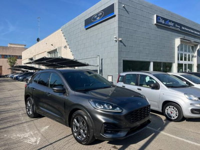 Ford Kuga 2.0 EcoBlue 120 CV aut. 2WD ST-Line X usata
