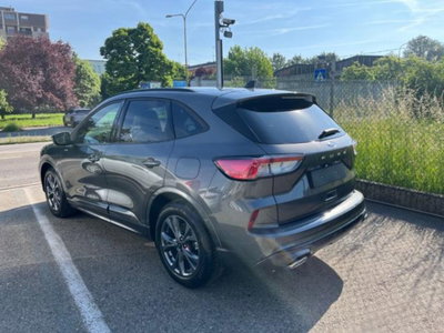 Ford Kuga 2.0 EcoBlue 120 CV aut. 2WD ST-Line X (4)