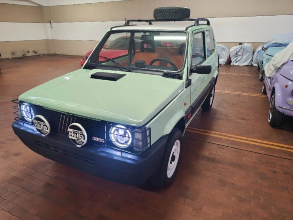 Fiat Panda 1000 i.e. cat 4x4 (5)