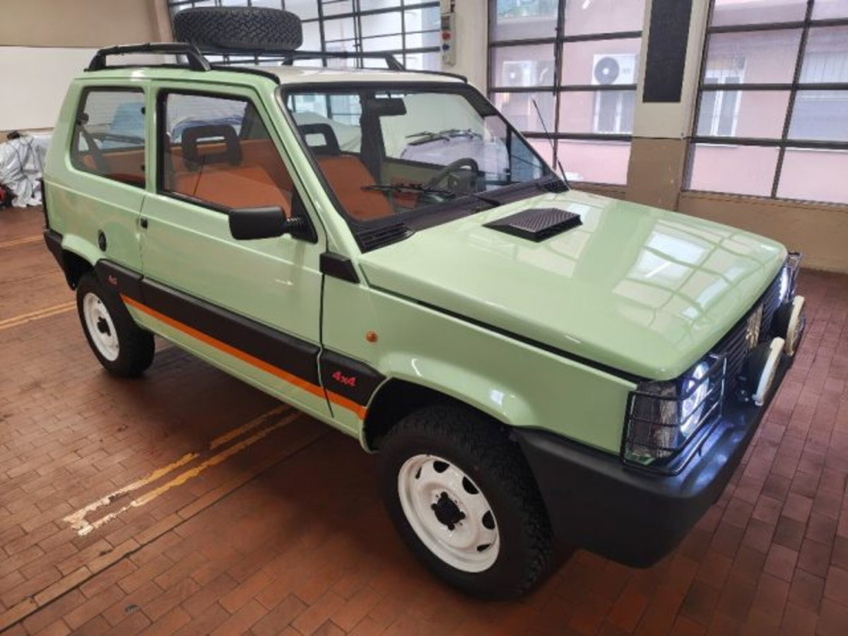 Fiat Panda 1000 i.e. cat 4x4 (6)