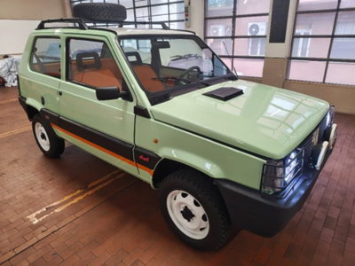 Fiat Panda 1000 i.e. cat 4x4 (6)