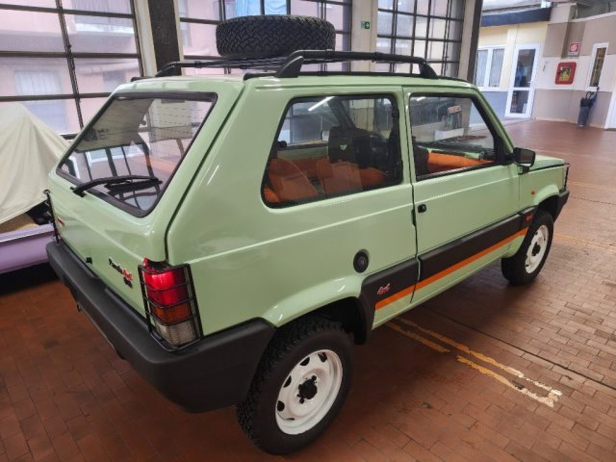 Fiat Panda 1000 i.e. cat 4x4 (8)