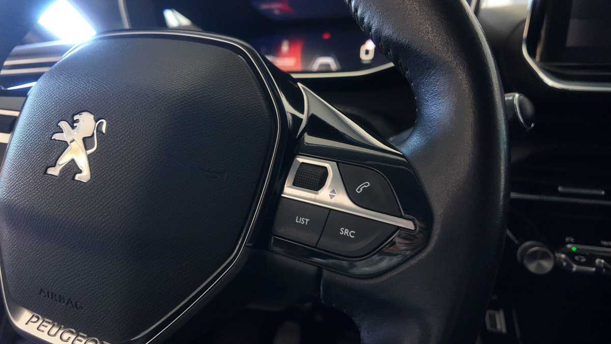 Peugeot 208 BlueHDi 100 Stop&Start 5 porte Allure (12)