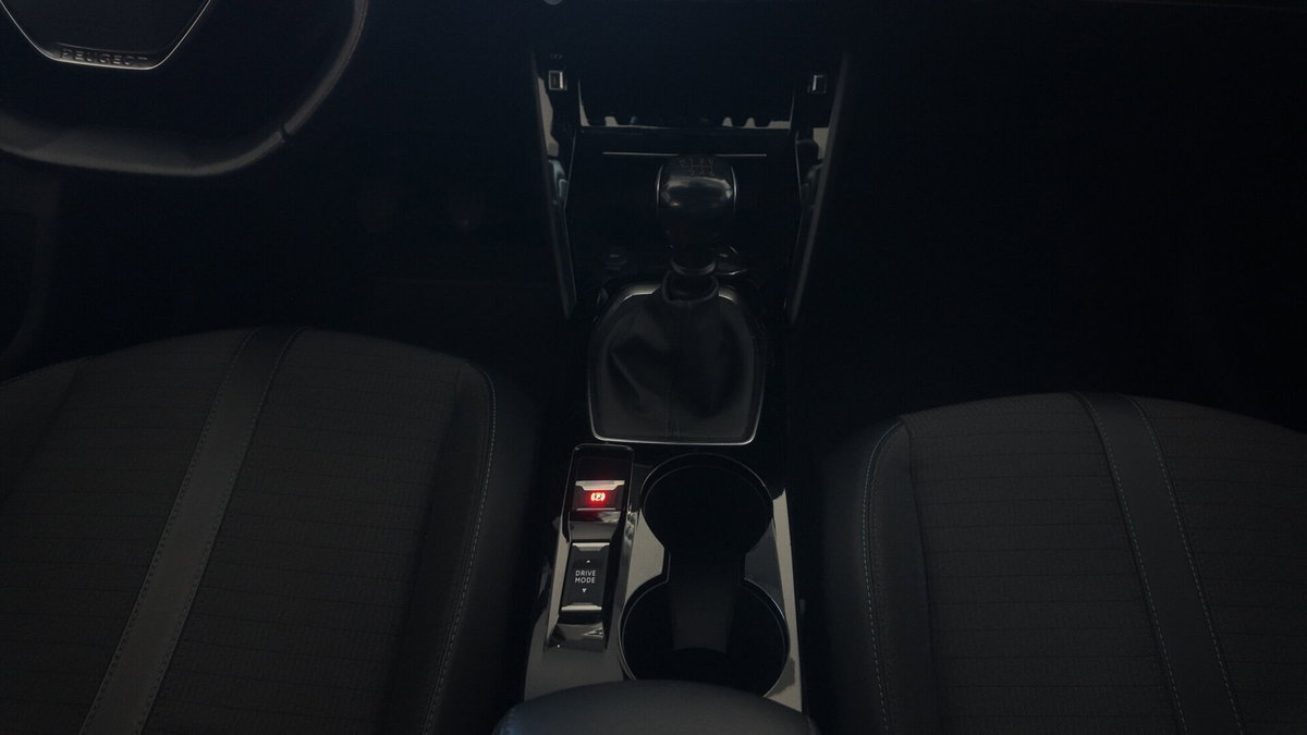 Peugeot 208 BlueHDi 100 Stop&Start 5 porte Allure (8)