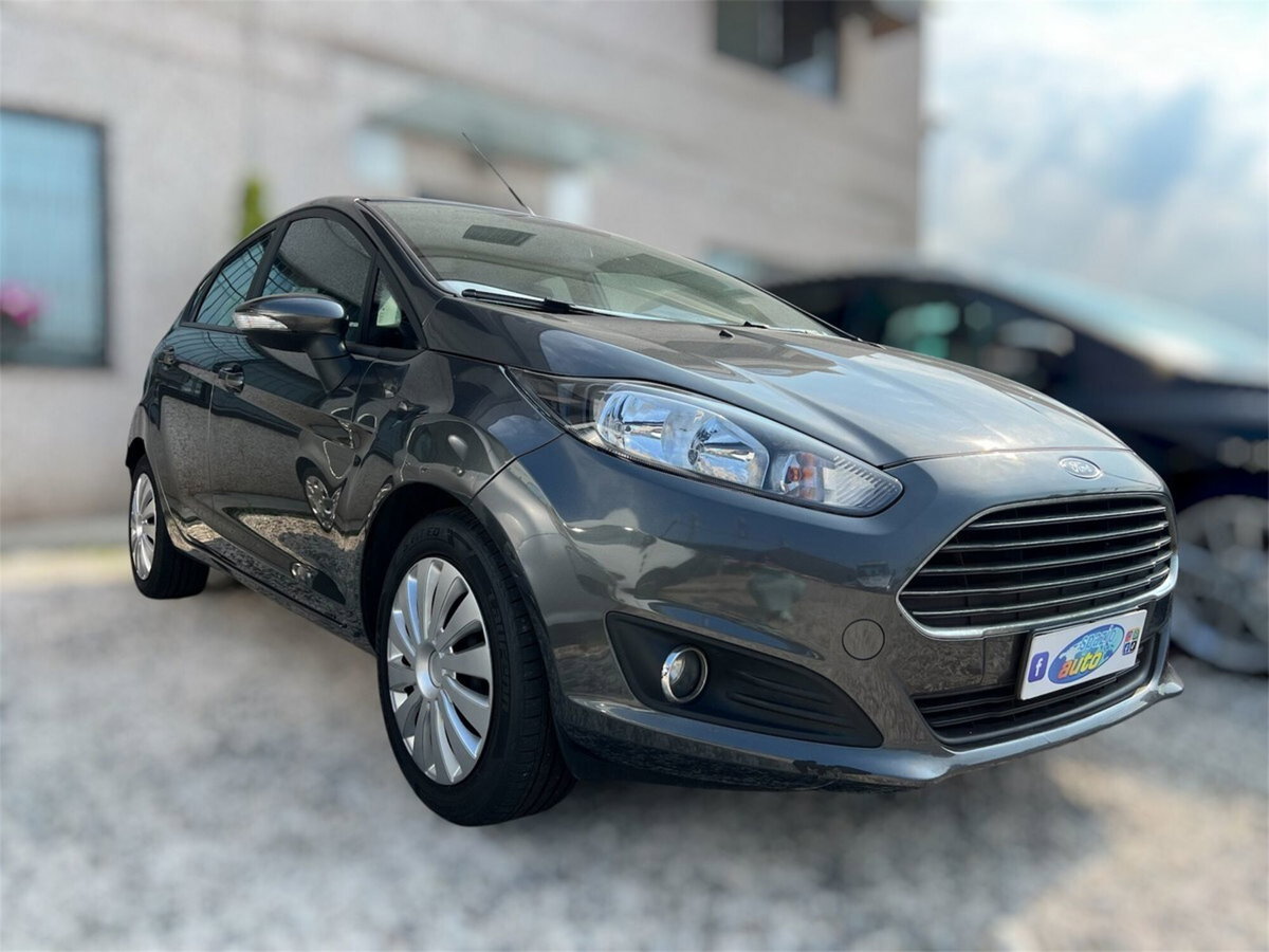 Ford Fiesta 1.5 TDCi 95CV 5 porte ECOnetic (2)