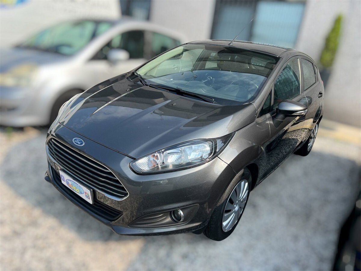Ford Fiesta 1.5 TDCi 95CV 5 porte ECOnetic (3)