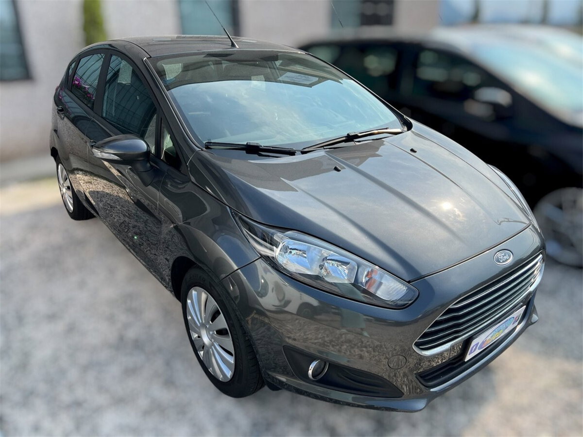 Ford Fiesta 1.5 TDCi 95CV 5 porte ECOnetic (5)