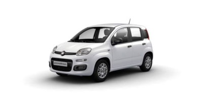 Fiat Pandina 1.0 firefly hybrid Icon s&s 65cv nuova