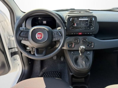 Fiat Pandina 1.0 firefly hybrid Icon s&s 65cv (10)