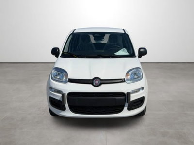 Fiat Pandina 1.0 firefly hybrid Icon s&s 65cv (2)