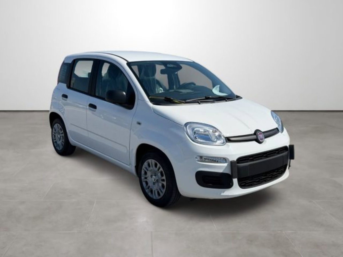 Fiat Pandina 1.0 firefly hybrid Icon s&s 65cv (3)